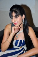 Khushi Rajput Hot Photos
